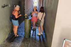 20230902_111804-scaled